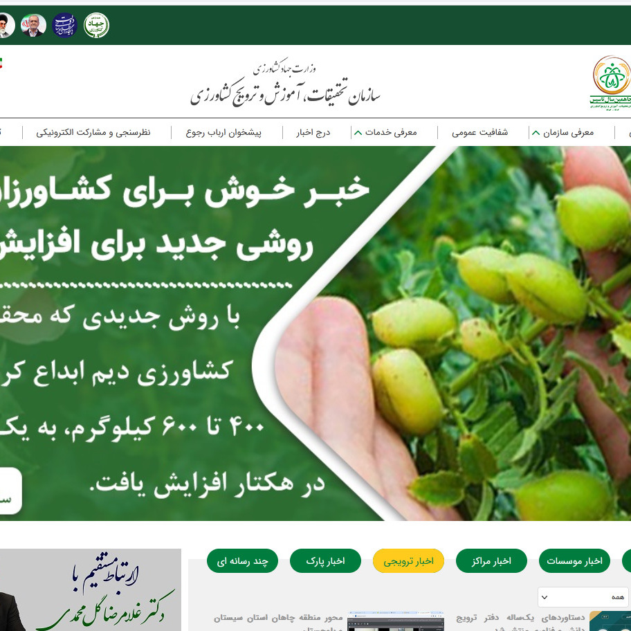 سازمان تات
