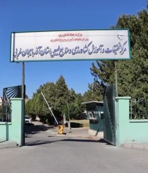 مرکز