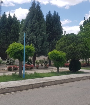 مرکز