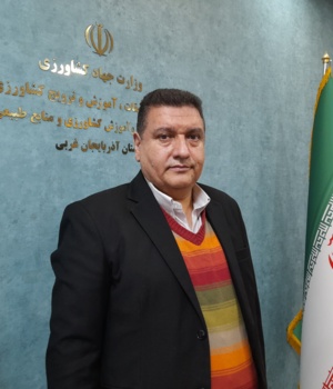 مرکز و ری