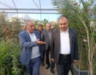 بازدید رئیس مؤسسه تحقیقات ثبت و گواهی بذر و نهال از ایستگاه کهریز و نهالستان‌های مرکز تحقیقات کشاورزی آذربایجان غربی
