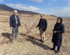 بازدید تخصصی از باغات بادام خوی برای بررسی خشکیدگی درختان