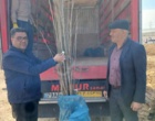 بازدید کارشناسان بخش تحقیقات ثبت و گواهی بذرونهال آذربایجان غربی