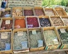 آذربایجان غربی, گنجینه های گیاهی در آستانه انقراض