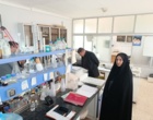 تاکید بر‌ ارتقای عملکرد محصولات و پایداری تولید