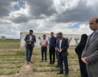 سفر معاون کنترل و گواهی نهال موسسه ثبت و گواهی بذر و نهال به استان آذربایجان غربی