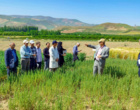 بازدید شورای تحقیقات، آموزش و ترویج کشاورزی آذربایجان‌غربی از ایستگاه تحقیقات دیم خرم‌آباد
