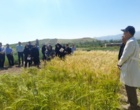 بازدید شورای تحقیقات، آموزش و ترویج کشاورزی آذربایجان‌غربی از ایستگاه تحقیقات دیم خرم‌آباد