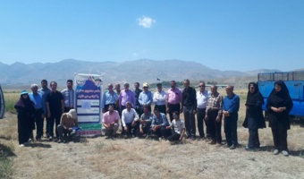 برگزاری کارگاه ترویجی مدیریت مزارع گندم در شهرستان ماکو
