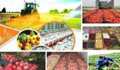عضو هیات علمی بخش اقتصادی اجتماعی مرکز تحقیقات کشاورزی و منابع طبیعی آذربایجان غربی بیان کرد