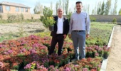 بازدید کارشناسان بخش ثبت و گواهی بذر و نهال از محموله‌های صادراتی نهال آذربایجان غربی به کشورهای آذربایجان و عراق