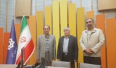 برداشت زعفران