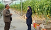 مدیریت گلخانه