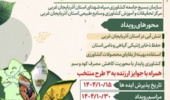 امنیت غذایی و تغییر الگوی کشت در استان آذربایجان غربی