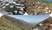 پروژههای منابع طبیعی بدون پشتیبانی میدانی به نتیجه نمیرسند