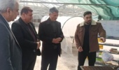 بازدید رئیس مؤسسه تحقیقات ثبت و گواهی بذر و نهال از ایستگاه کهریز و نهالستانهای مرکز تحقیقات کشاورزی آذربایجان غربی