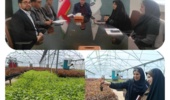 جلسه برنامه‌ریزی فعالیت های بخش ثبت و گواهی بذر و نهال