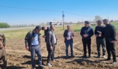 نخستین مزرعه الگویی چغندرقند در استان آذربایجان غربی در پردیس آموزش کشاورزی میاندوآب راه اندازی شد