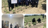 برگزاری کارگاه آموزشی انتقال یافته‌های تحقیقاتی آفتابگردان در روستای کنارلک سلماس