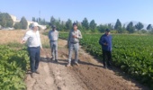 بازدید رئیس مرکز تحقیقات و آموزش کشاورزی و منابع طبیعی آذربایجان غربی از  ایستگاه تحقیقات کشاورزی شهرستان خوی