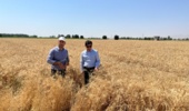 با اجرای طرح «یاوران تولید» در میاندوآب