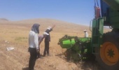 ارزیابی موفق هد برداشت هوشمند حبوبات در مزارع بوکان