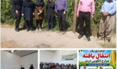 روز انتقال یافته‌های تحقیقاتی در مزارع الگویی ذرت شهرستان نقده برگزار شد