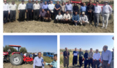 برگزاری کارگاه آموزشی با عنوان «مزارع الگویی غلات آبی» در دهستان مکریان غربی شهرستان مهاباد