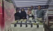 نمایش ۳۳ رقم در جشنواره انگور آذربایجان غربی