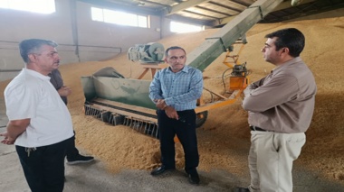 بازدید کارشناس مسئول واحد استانی آذربایجان غربی از شرکت فرآوری بذر تعاون روستایی بوکان
