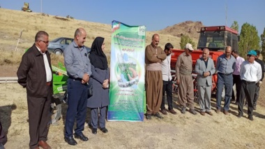 کاشت مزرعه کلزا در دهستان آختاچی غربی شهرستان مهاباد