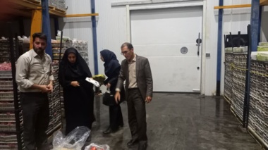 بازدید محققان مرکز تحقیقات کشاورزی آذربایجان غربی از یک شرکت دانش‌بنیان در ارومیه