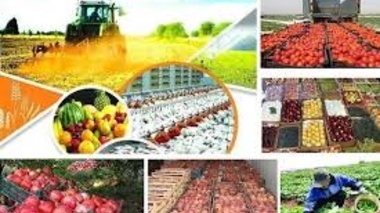 عضو هیات علمی بخش اقتصادی اجتماعی مرکز تحقیقات کشاورزی و منابع طبیعی آذربایجان غربی بیان کرد