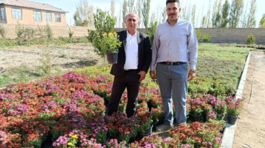 بازدید کارشناسان بخش ثبت و گواهی بذر و نهال از محموله‌های صادراتی نهال آذربایجان غربی به کشورهای آذربایجان و عراق