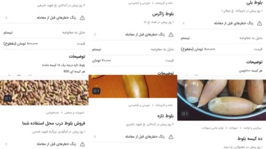 هشدار درباره فروش و استفاده غیرمجاز از بذر بلوط به‌عنوان خوراک دام
