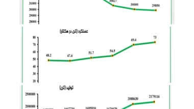 کاهش سطح زیر کشت و افزایش عملکرد محصول چغندرقند طی شش سال اخیر