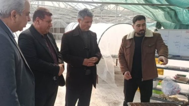 بازدید رئیس مؤسسه تحقیقات ثبت و گواهی بذر و نهال از ایستگاه کهریز و نهالستان‌های مرکز تحقیقات کشاورزی آذربایجان غربی