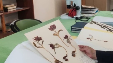 حفاظت از ذخائر ژنتیکی در شرایط جنگی (هرباریوم)