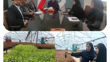 جلسه برنامه‌ریزی فعالیت های بخش ثبت و گواهی بذر و نهال