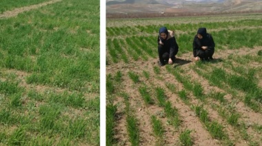 بازدید اعضای هیأت علمی بخش تحقیقات خاک و‌ آب مرکز آذربایجان غربی از ایستگاه دیم خرم‌آباد