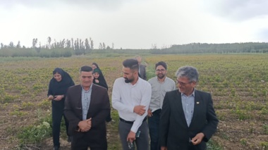 سفر معاون کنترل و گواهی نهال موسسه ثبت و گواهی بذر و نهال به استان آذربایجان غربی