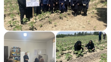 برگزاری کارگاه آموزشی انتقال یافته‌های تحقیقاتی آفتابگردان در روستای کنارلک سلماس
