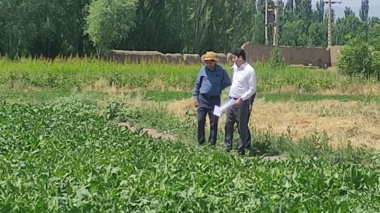 بازدید رئیس بخش تحقیقات چغندر قند مرکز تحقیقات کشاورزی آذربایجان غربی از ایستگاه تحقیقات کشاورزی خوی