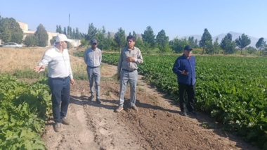بازدید رئیس مرکز تحقیقات و آموزش کشاورزی و منابع طبیعی آذربایجان غربی از  ایستگاه تحقیقات کشاورزی شهرستان خوی