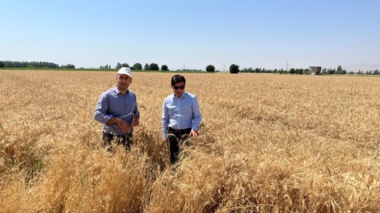 با اجرای طرح «یاوران تولید» در میاندوآب