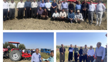 برگزاری کارگاه آموزشی با عنوان «مزارع الگویی غلات آبی» در دهستان مکریان غربی شهرستان مهاباد