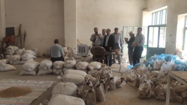 بازدید مسئولان ارشد مرکز تحقیقات کشاورزی آذربایجان غربی از ایستگاه و پردیس تحقیقات کشاورزی میاندوآب