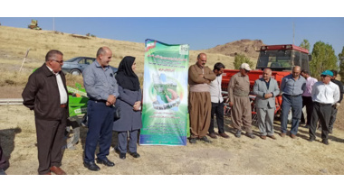 کاشت مزرعه کلزا در دهستان آختاچی غربی شهرستان مهاباد