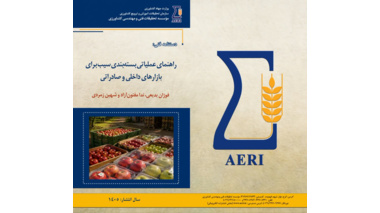 انتشار دستنامه فنی «راهنمای عملیاتی بسته‌بندی سیب برای بازارهای داخلی و صادراتی»